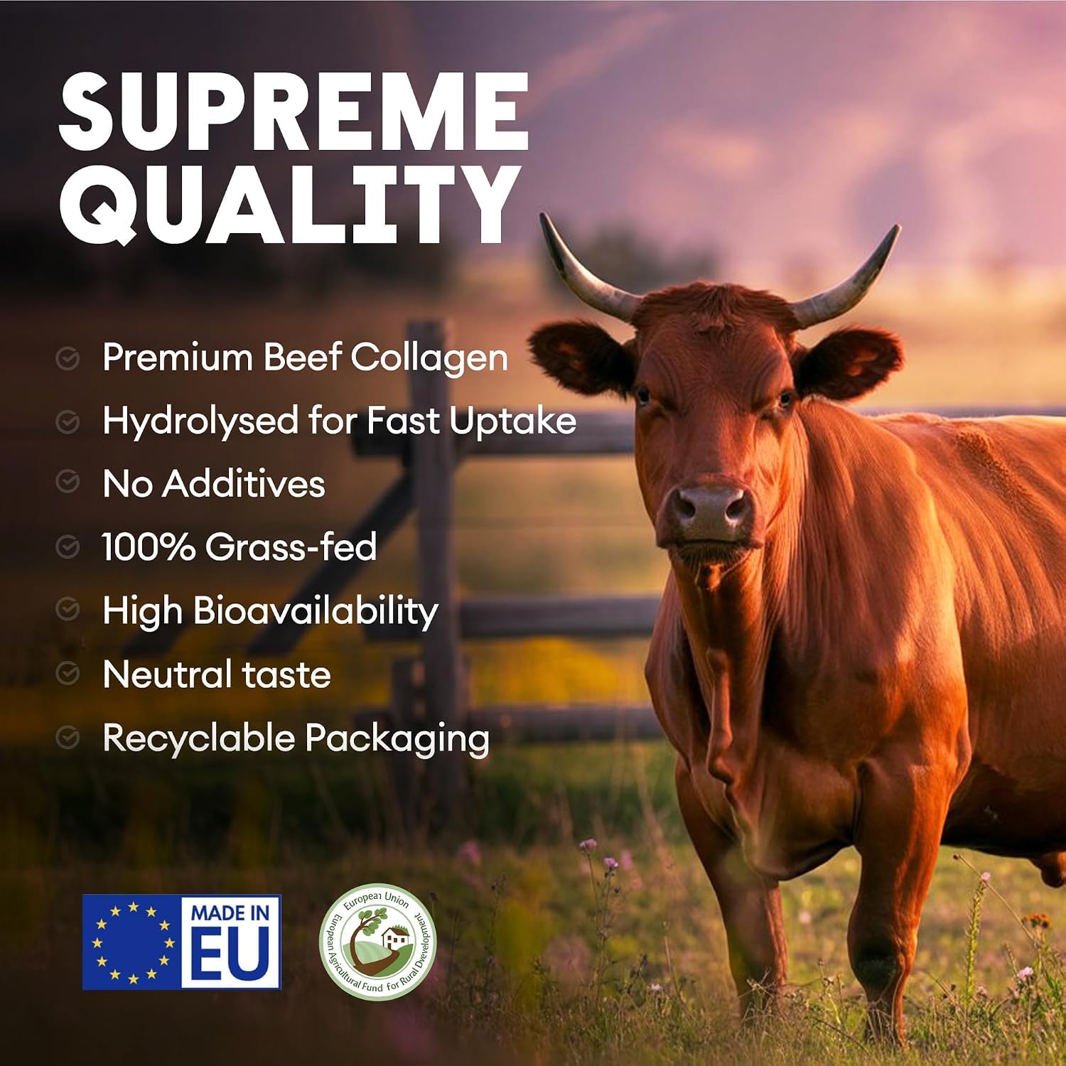 Nutriest Collagen Peptides Powder (300 g) I Beef Collagen Powder from Certified Ecological Livestock - Hydrolyzed Collagen I For Joints, Intestines and Skin I Peptides