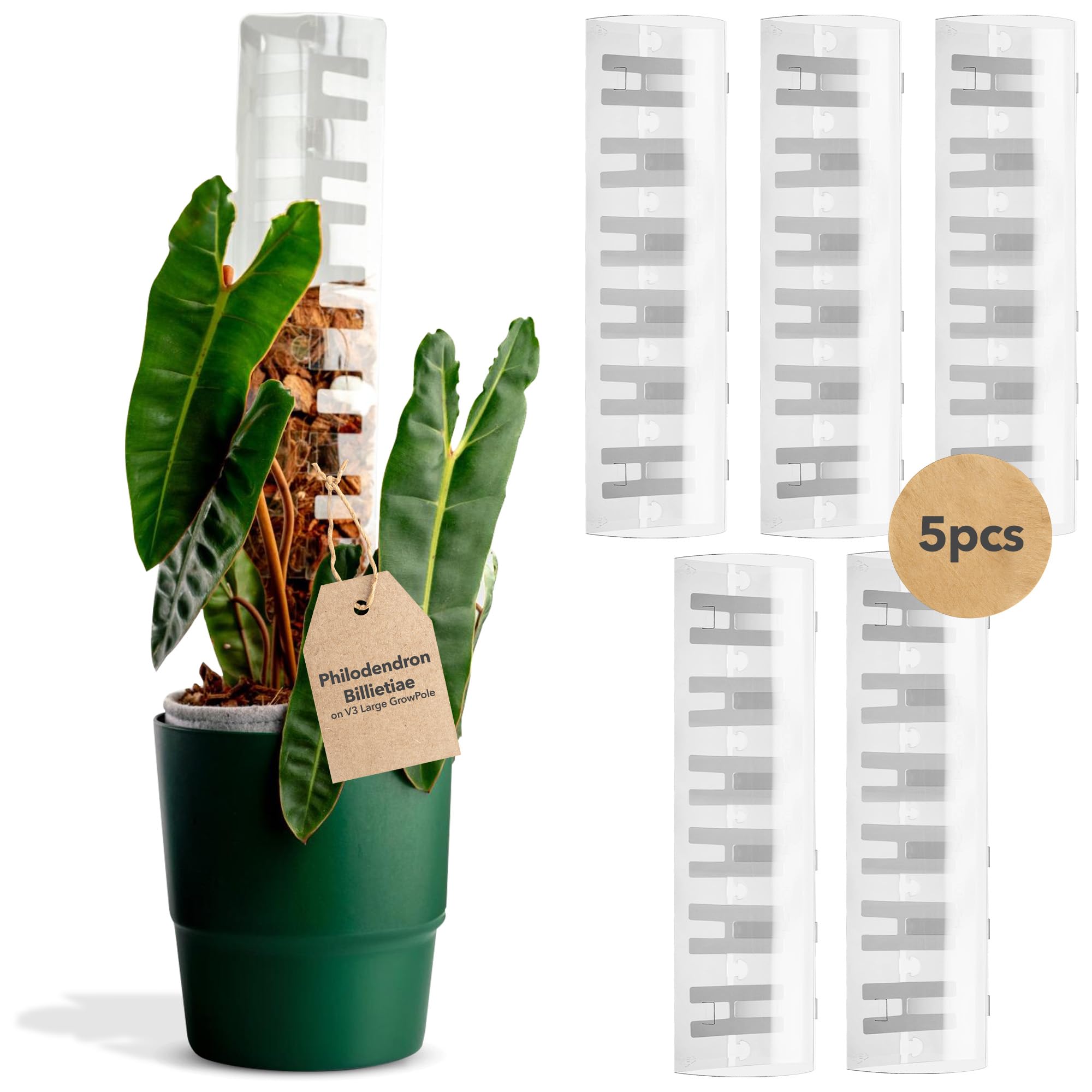 THICCLY V3 GrowPole Large 5 Pack