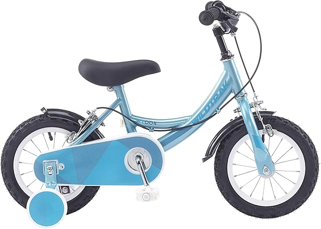 Wildtrak - 12 Inch Bike for Children 2-5 Years Old with Training Wheels - Mint