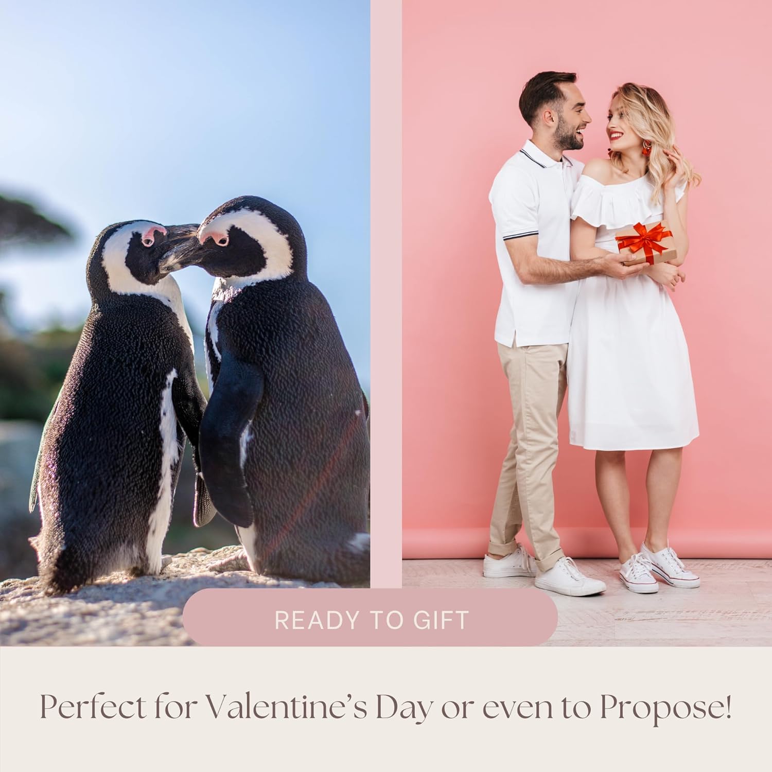 Valentines Day Gifts for Her - Will You Be My Penguin Pebble - Cute and Sentimental Gift for Boyfriend, Girlfriend, or Fiance - I Love You -Will You Marry Me Proposal - Anniversary Wedding Gift - Image 7
