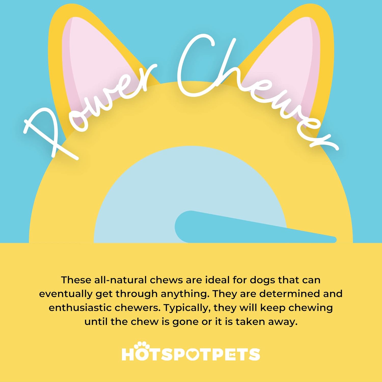 hotspot pets All Natural Beef Knee Caps for Dogs, Dog Bones, Single Ingredient Dog Chews for Aggressive Chewers - Long Lasting Rawhide Alternative Meat Bones