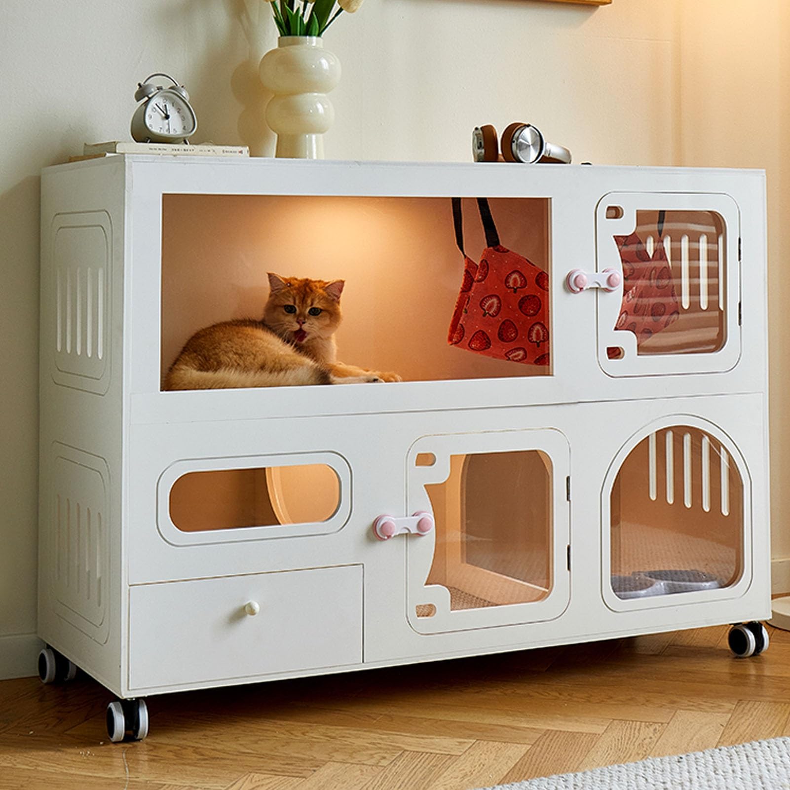 Enclos for chats d'intérieur en plastique transparent avec bac à litière