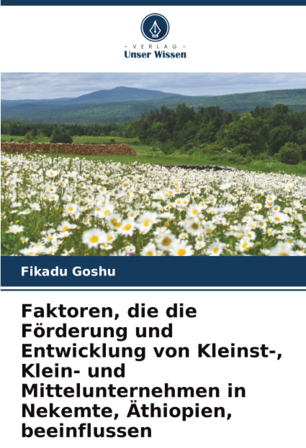 Faktoren, die die Förderung und Entwicklung von Kleinst-, Klein- und Mittelunternehmen in Nekemte, Äthiopien, beeinflussen