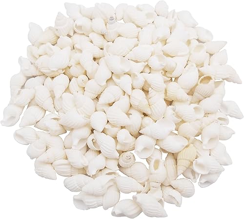 Miniatura 1 de Cerca de 250 piezas de conchas blancas en espiral de playa naturales de concha marina para manualidades, mini caracola, concha de mar para hacer