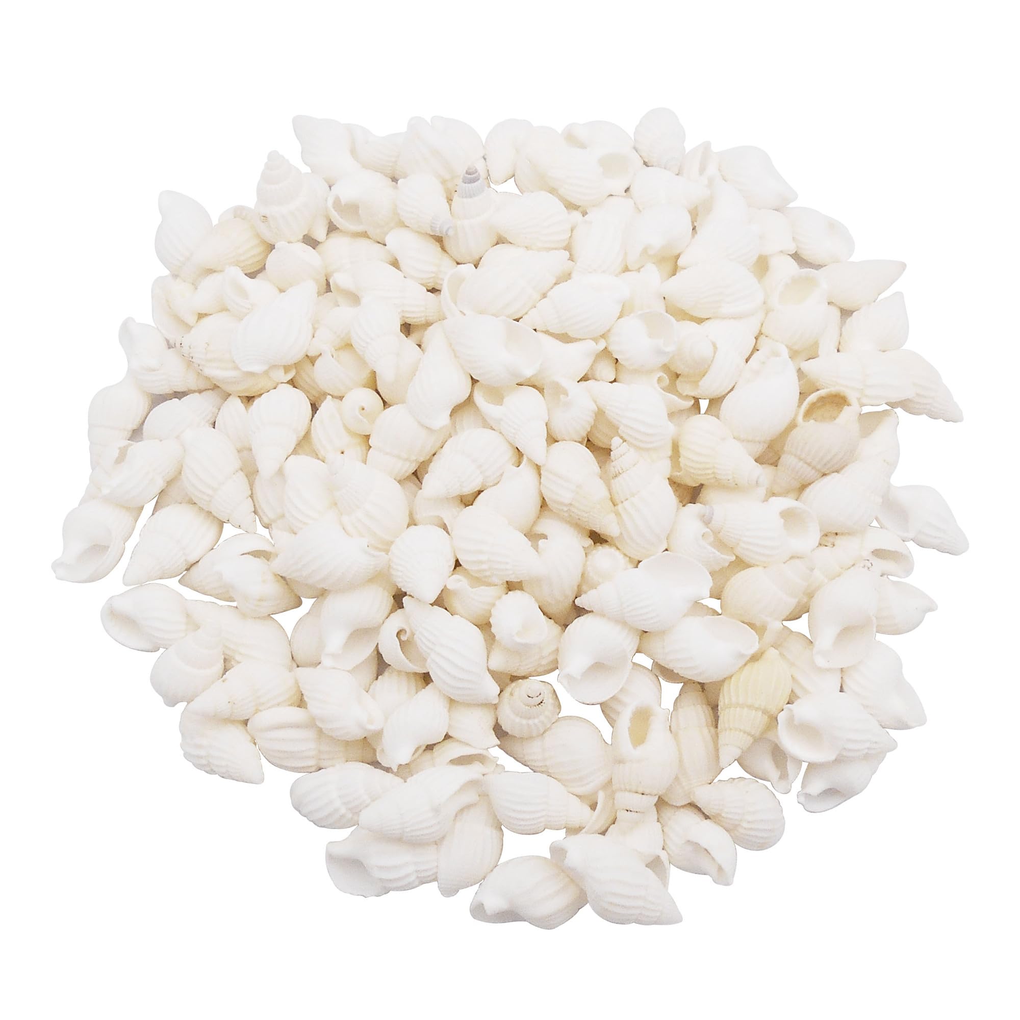 90grams About 250pcs White Tiny Seashell Natural Beach Spiral Shells Craft Charms Mini Conch for Candle Making Ocean Themed Party Wedding Decor Fish Tank Vase Filler