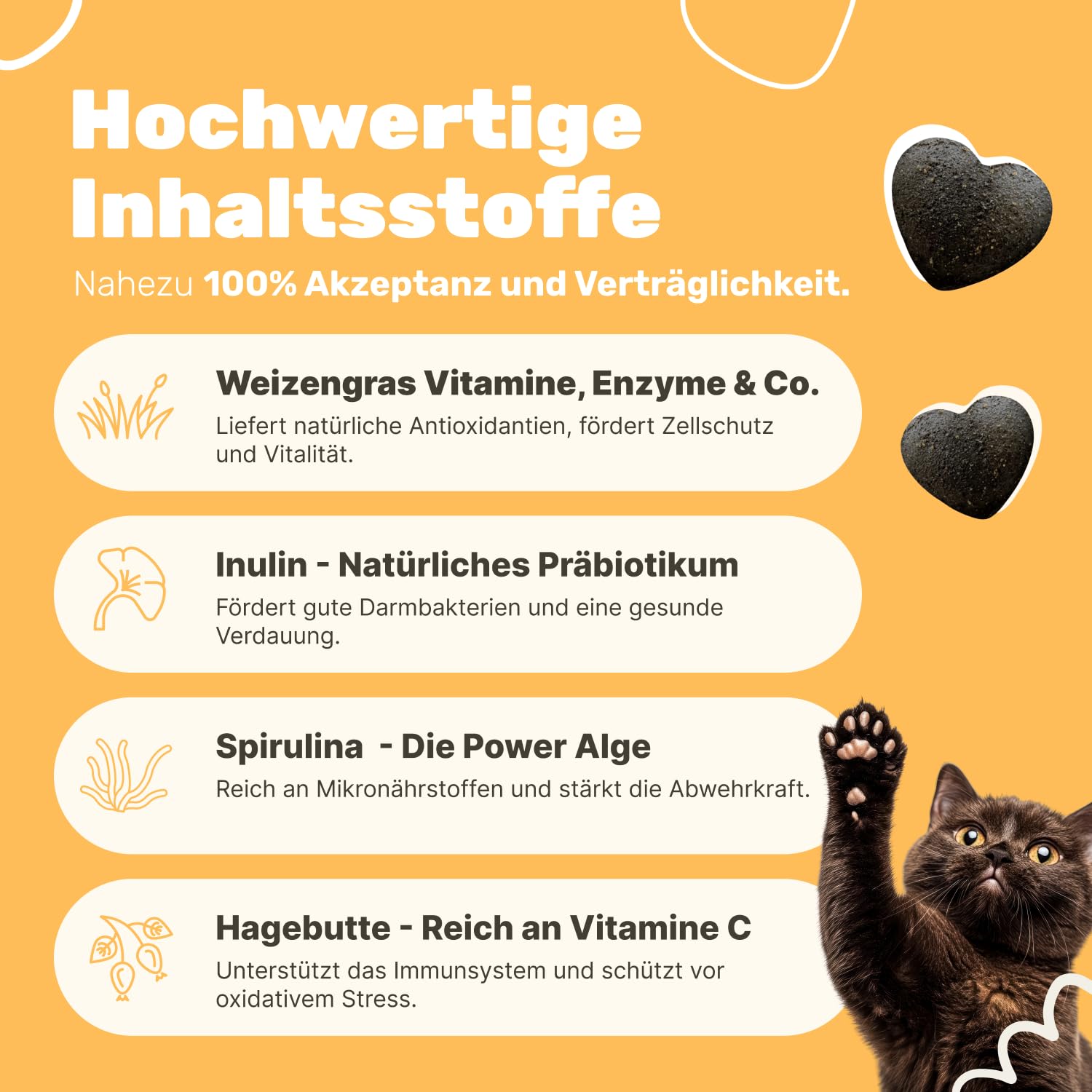 4-in-1 Immunsystem Leckerli für Katzen | Stärkt Abwehrkräfte mit Inulin, Hagebutte & Vitaminen | Ergänzungsfuttermittel für Katzen | Immunsystem Katze | Tierärztlich entwickelt | Patsli Immune