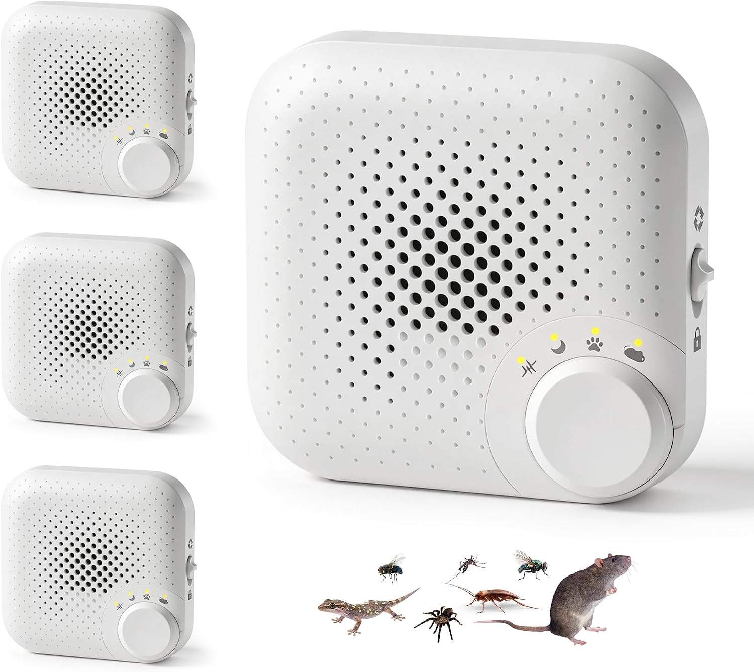 Amazon Deal