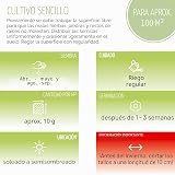 Ver la foto 6
