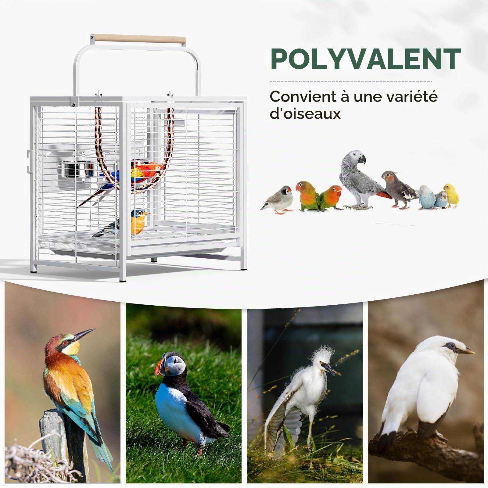 LEADZM Grande Cage à Oiseaux, Cage à perruches, nichoir avec Plateau de Nettoyage Coulissant et Verrouillage de sécurité, 65 x 48 x 37 cm Blanc