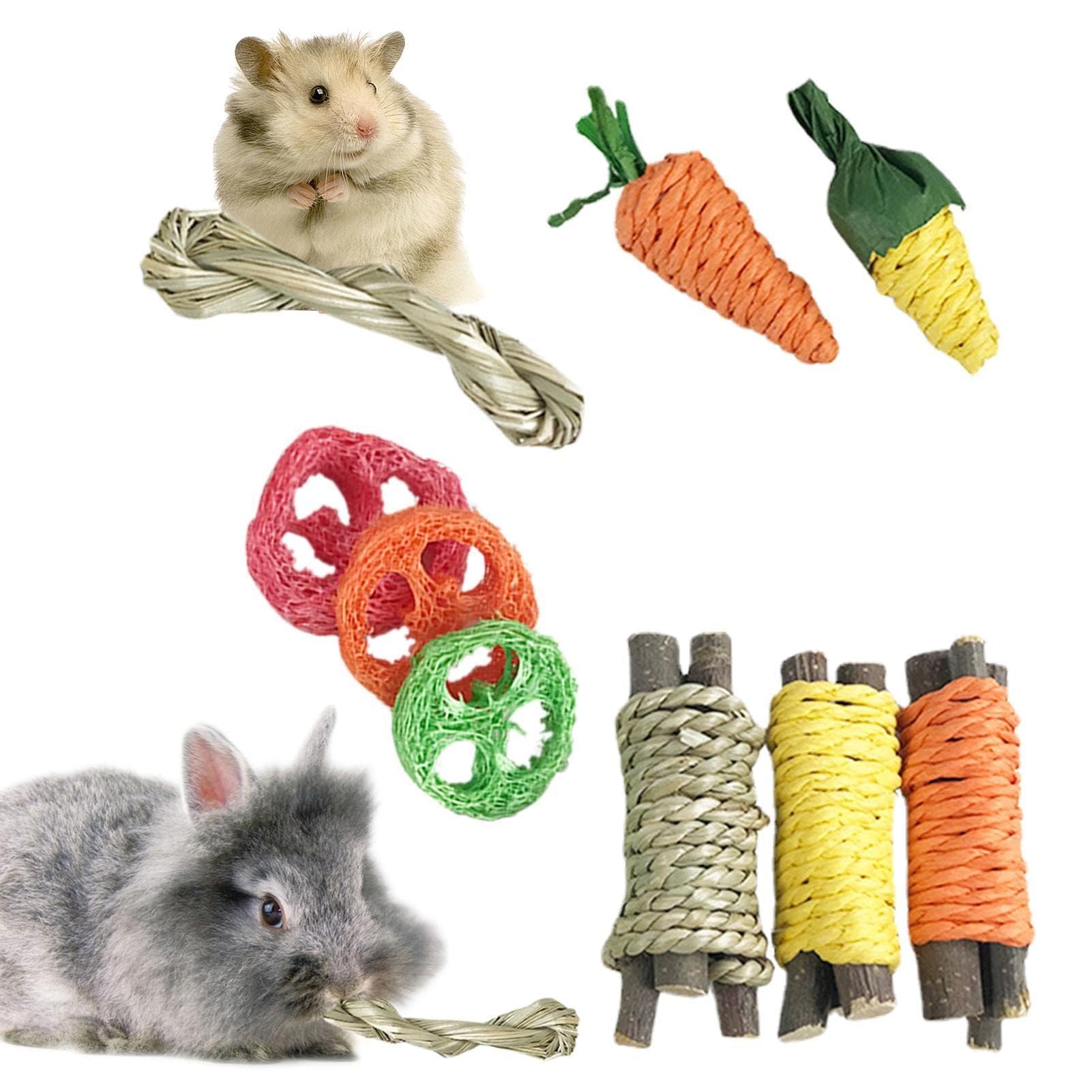 Ruedas De Sal Y Minerales Para Conejos Y Cobayas (pack De 2