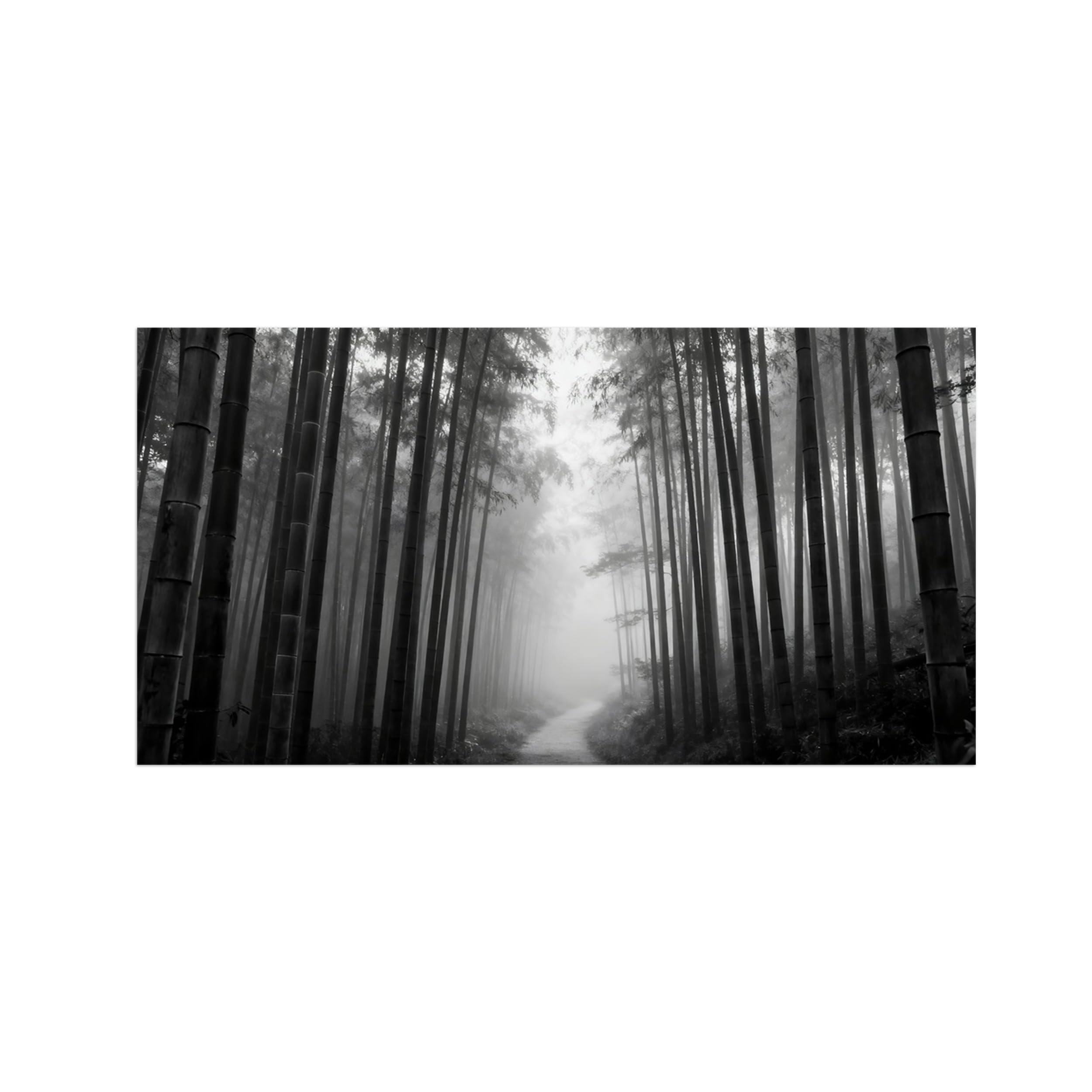 Black White Landscape Wall Art. Bamboo Forest. Picture 50x100cm Framed