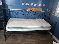 Review Image by Susan M. Briggs