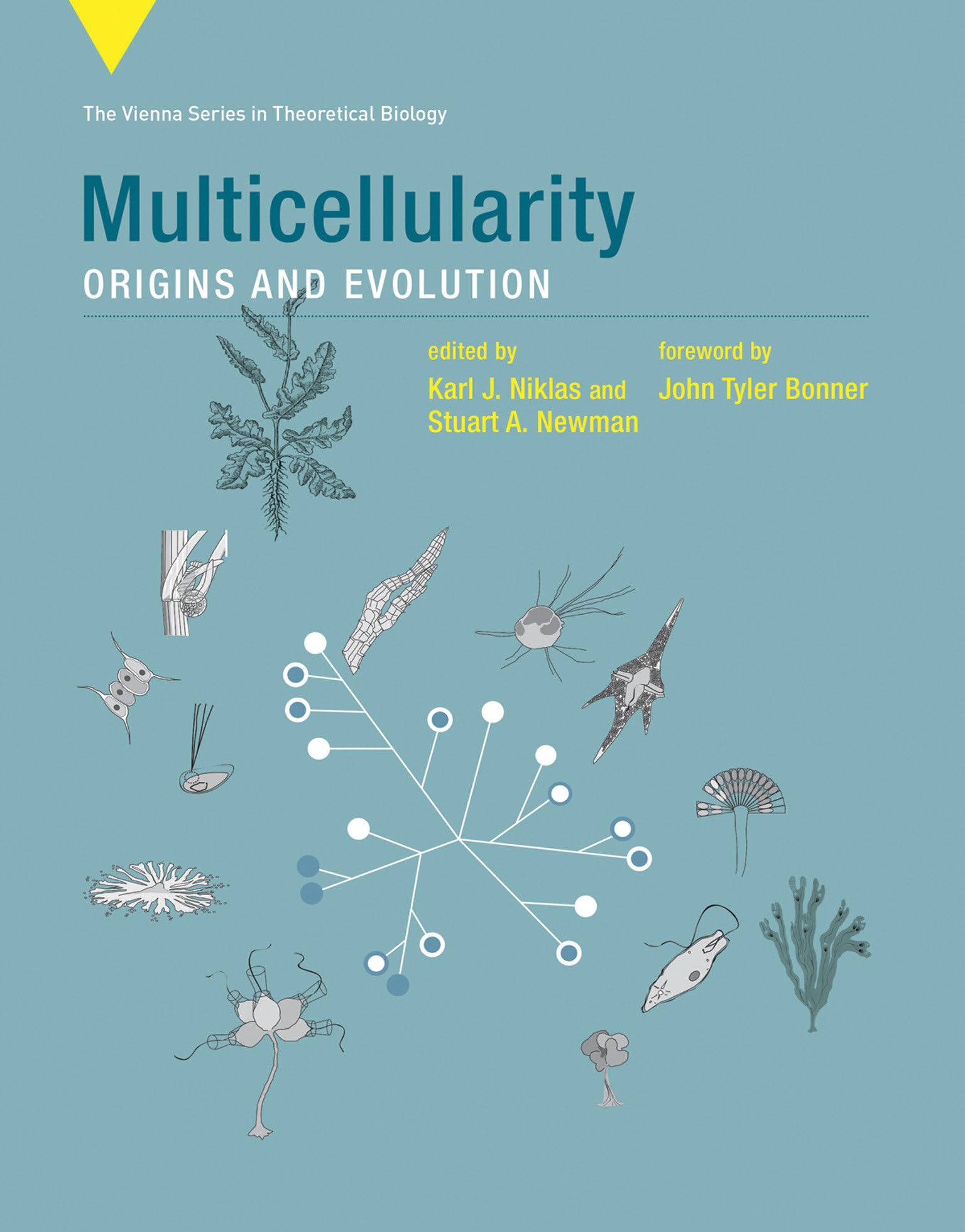 Multicellularity: Origins and Evolution: 18 (Vienna Series in Theoretical Biology)