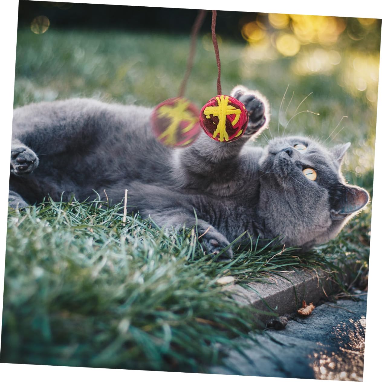 Happyyami 25pièces Jouets pour Chats avec Clochettes Accessoires Résistants pour Chats Intérieur Stimule Les Instincts De Chasse Et Préserve Vos Meubles