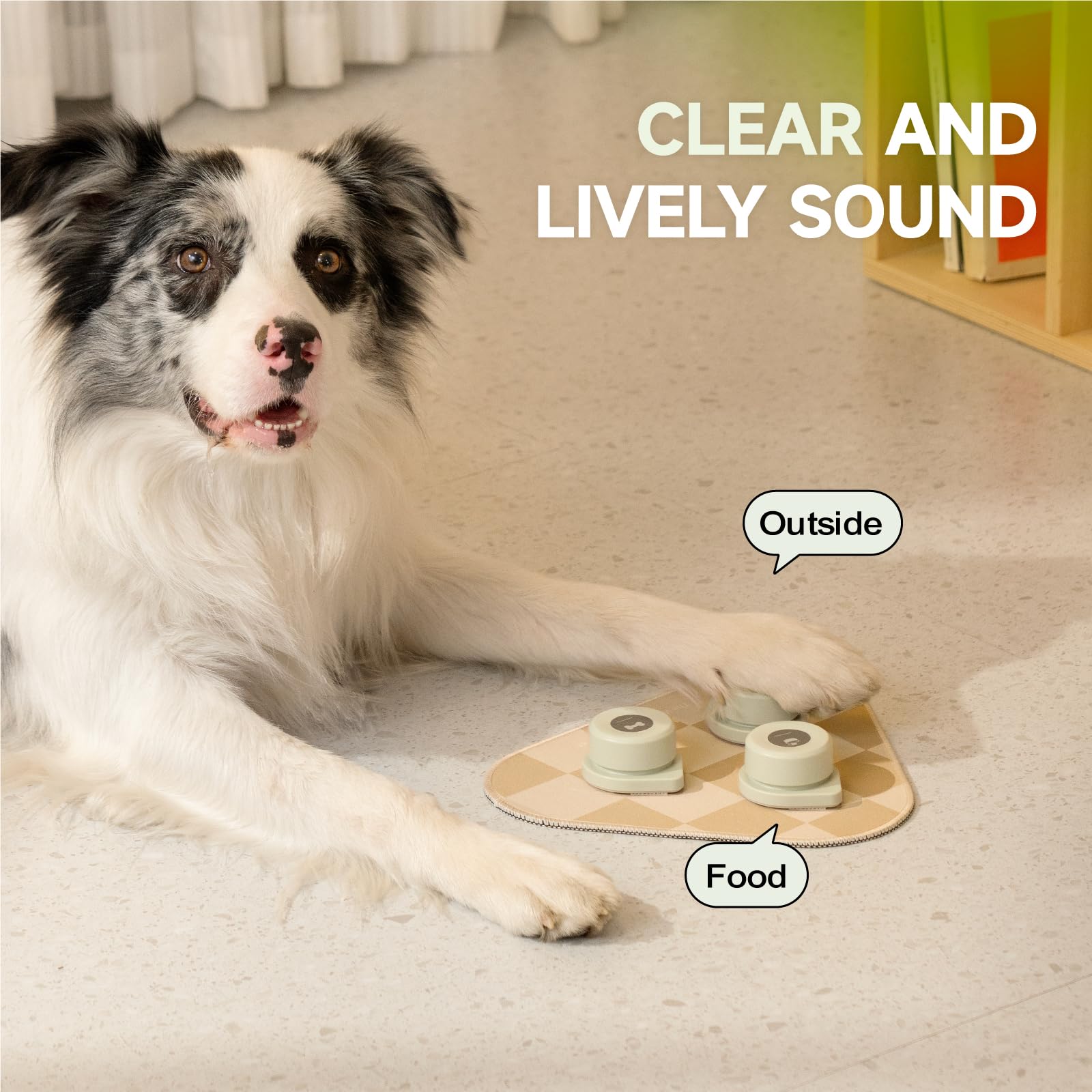 Amazon | MEWOOFUN 犬用 録音ボタン 3個入り グレー ミニサイズ 小型犬