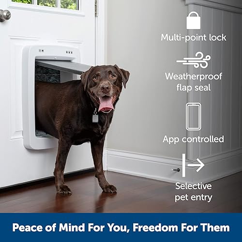 Miniatura 4 de PetSafe SmartDoor ZAC19-17243 - Extensión de túnel para puertas y paredes gruesas, grande, para gatos y perros