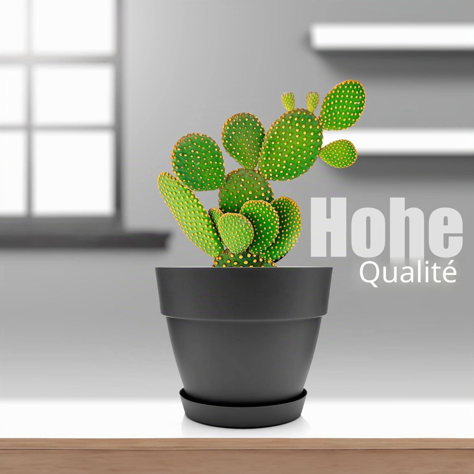 BigDean Lot de 3 pots de fleurs ronds avec soucoupe, diamètre 47 cm, anthracite, cache-pot pour l'intérieur et l'extérieur, en plastique incassable et fabriqué en Europe