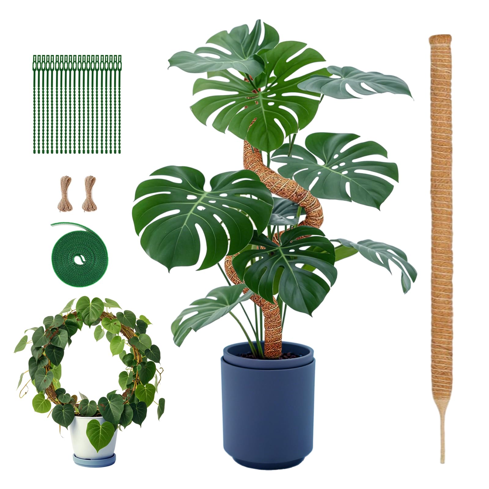 Amazon | 園芸 支柱 120cm 太め モンステラ支柱 ココスティック DIY