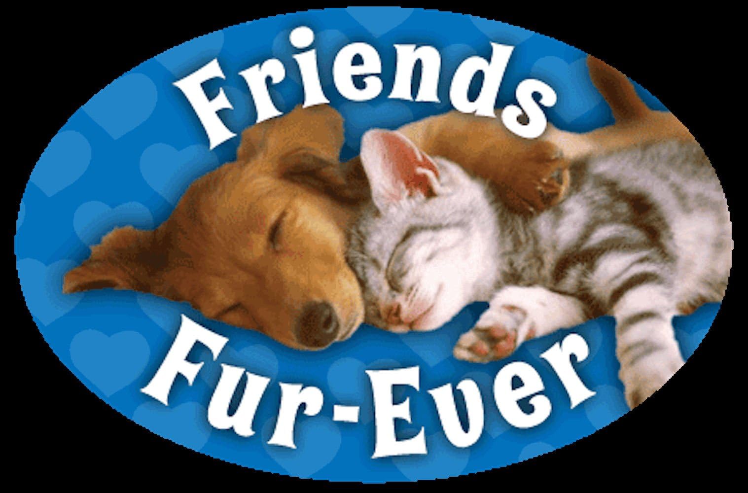Scandical Vinyl Car Window Decal "Friends Fur - Ever"