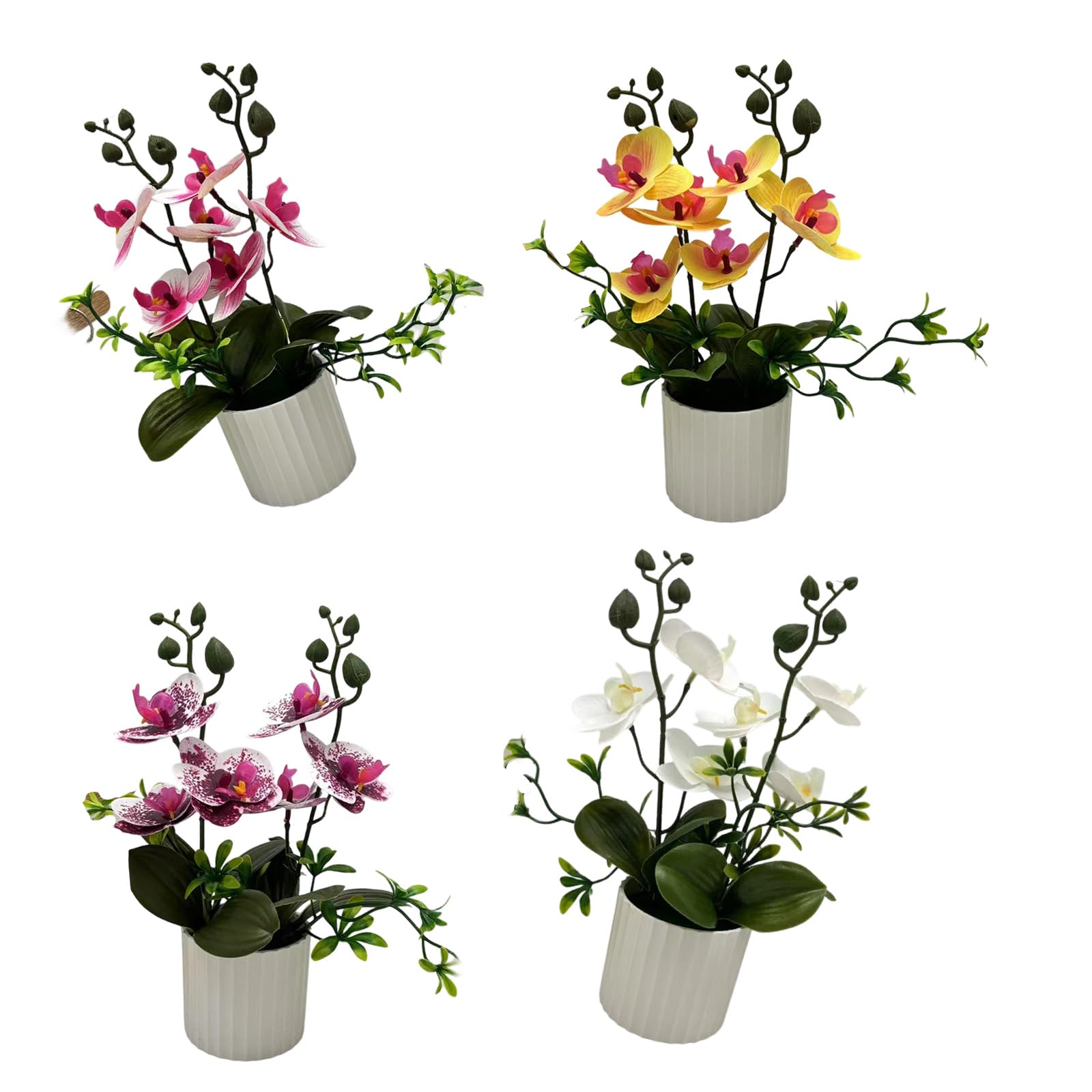 NMFLAB 4 Units Beautiful Butterfly Orchids Displays Housewarming Gift Plant for Enhancing Your Home or Offices Aesthetic Home Decor Plant
