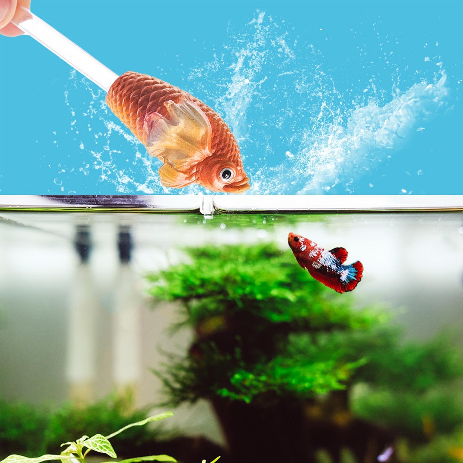 Amazon.co.jp: 魚トレーニングスティック | 水槽トレーニングツール