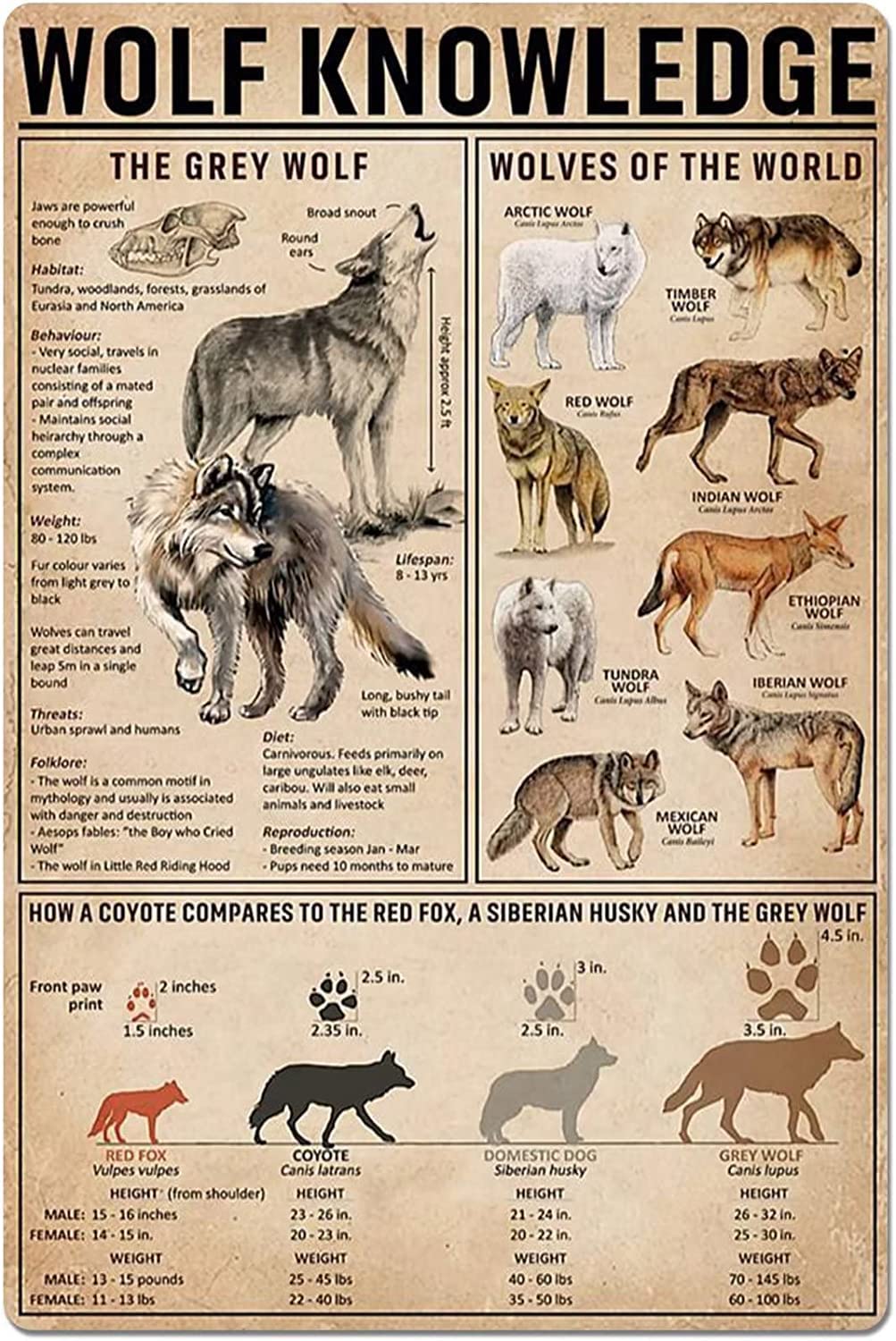 rayprint Wolf Knowledge Metal Sign Wall Art Metal Plaque Infographic For Club Home Cafe Kitche Bedroom Garage Office Bar Guide Reference Chart Decor 8x12Inches