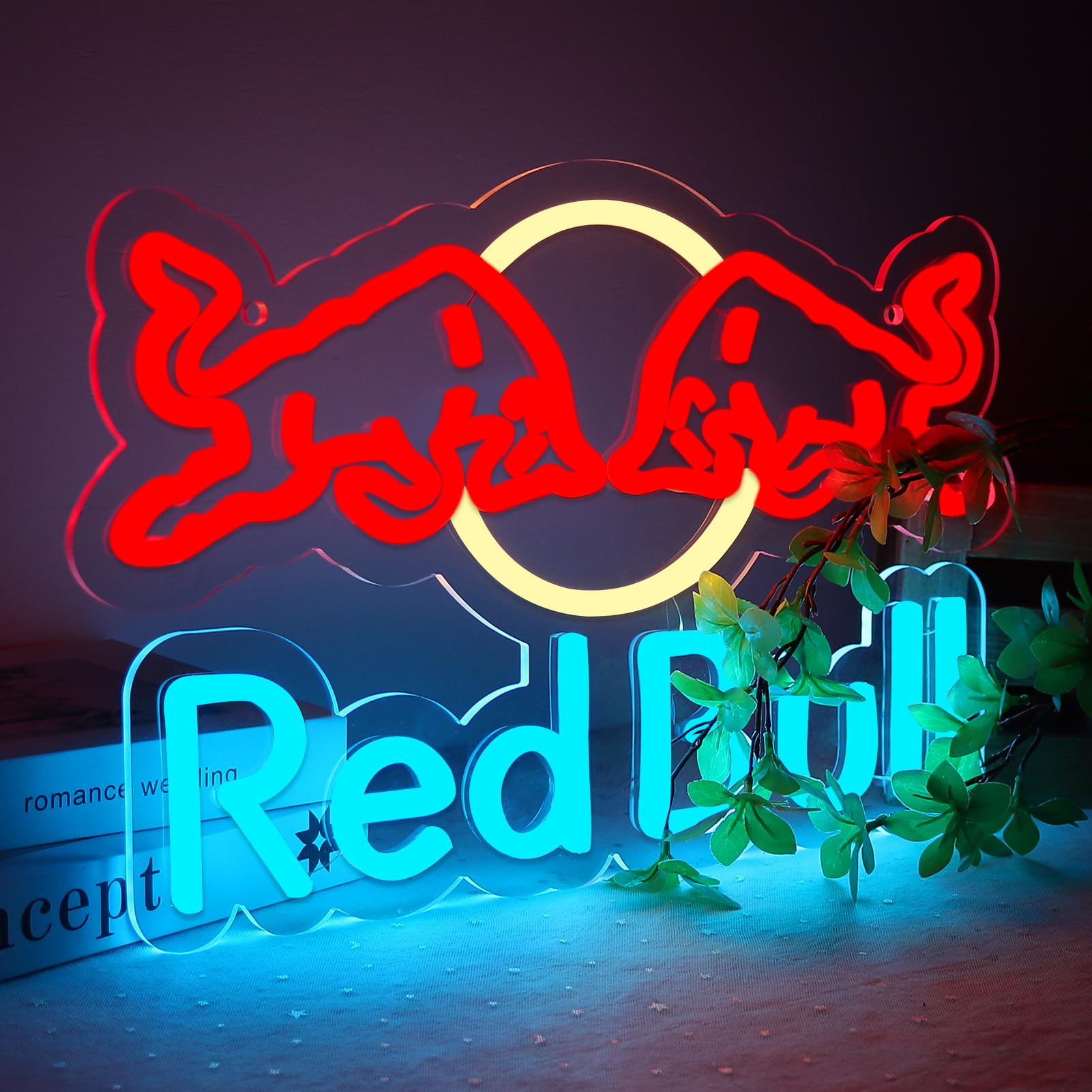 View 2