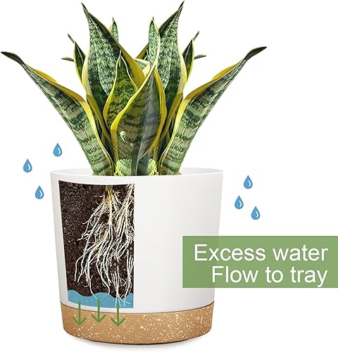 Miniatura 3 de Macetas colgantes para plantas de interior, macetas colgantes de 8 pulgadas con 3 ganchos, juego de 2 macetas modernas con orificio de drenaje y