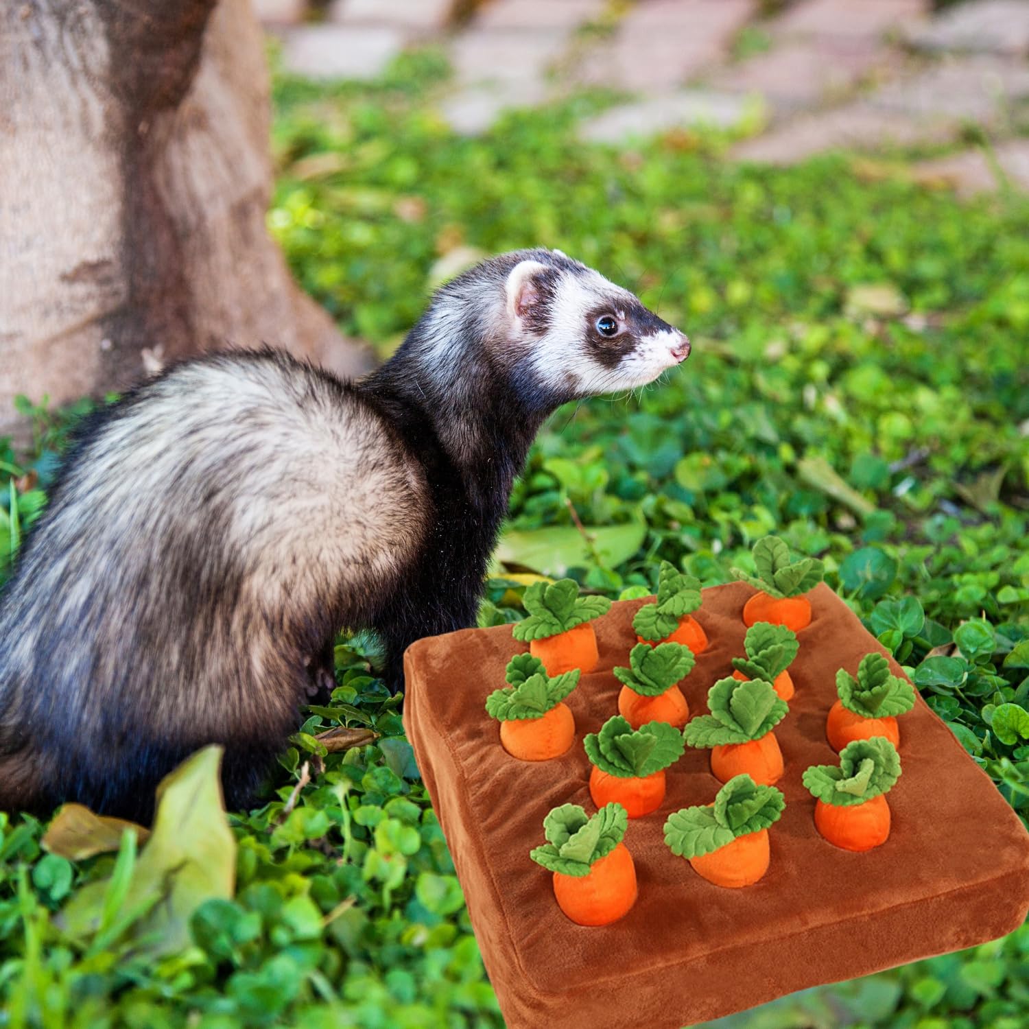 Tapis à renifler interactif pour Furet - Jouet d'enrichissement de friandises pour Petits Animaux, Lapin, Chinchilla, Cochon d'Inde, Hamster (12 Carotte)