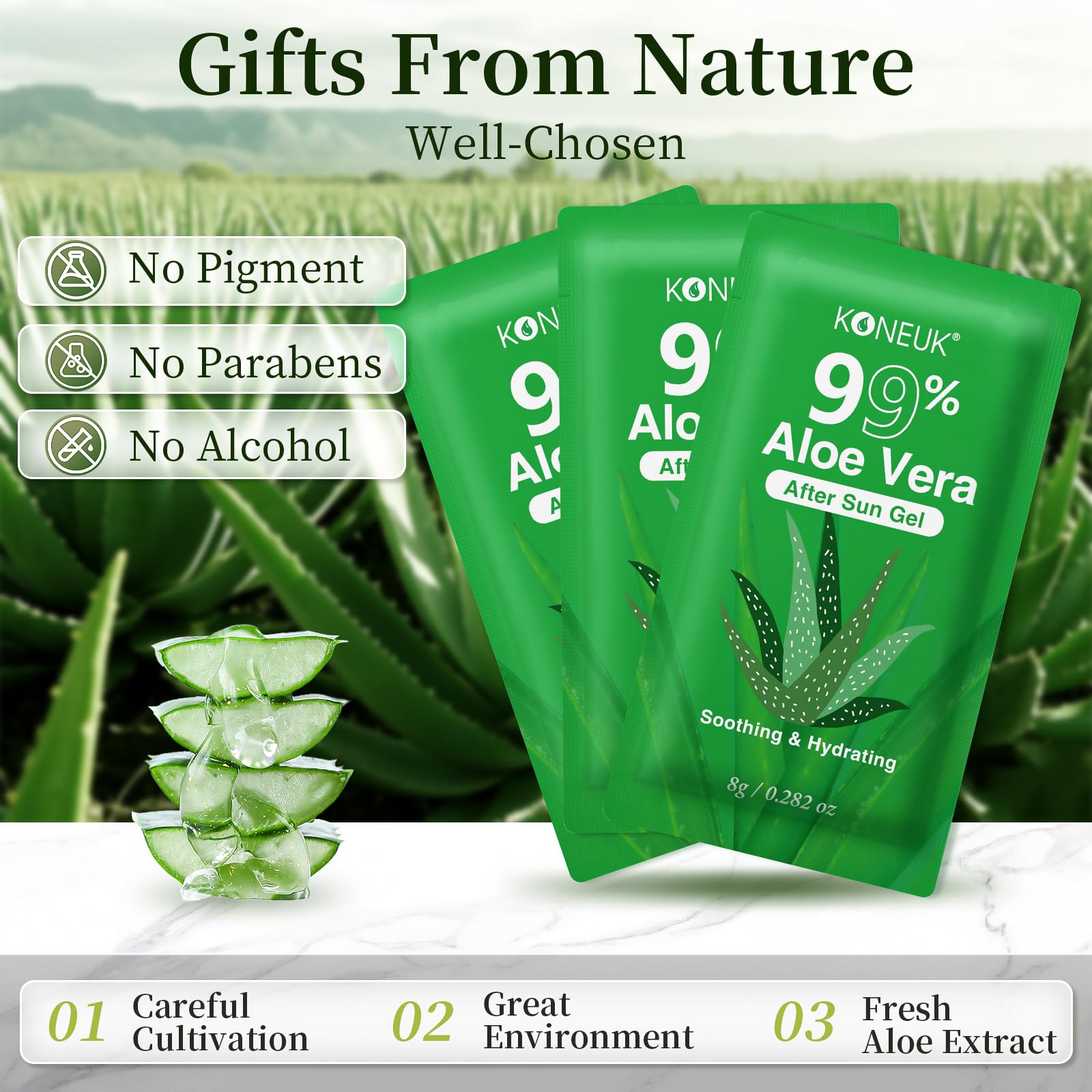 aloe vera hautunreinheiten Reinigungsschaum mit Aloe Vera- Pure Green – Pure Green Cosmetics