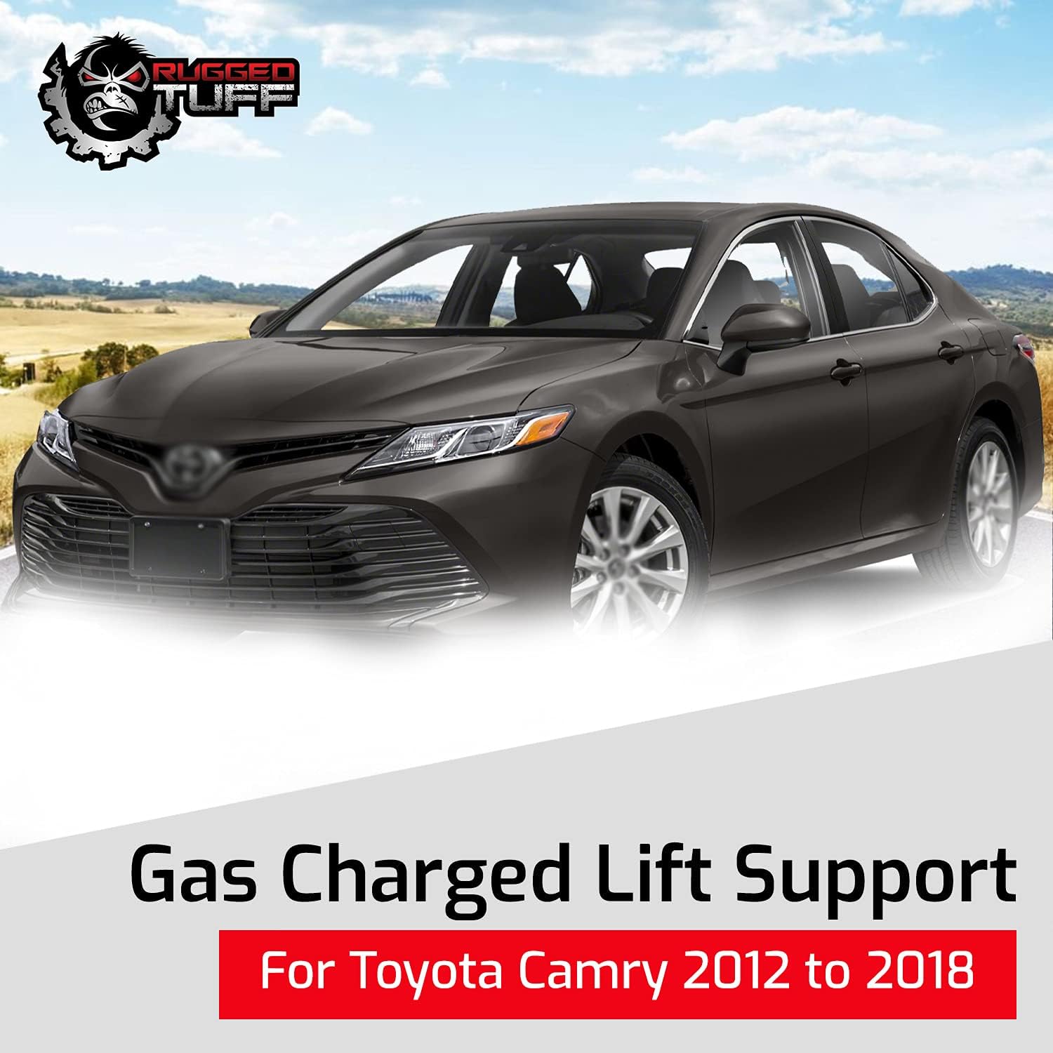 Front Hood Lift Support Shocks Struts for 2012-2017 Toyota Camry and 2013-2018 Toyota Avalon Engine Bonnet Lifter Lifting Gas Springs Arms Props 6757 5344006090 53440-06091 (2 Qty)