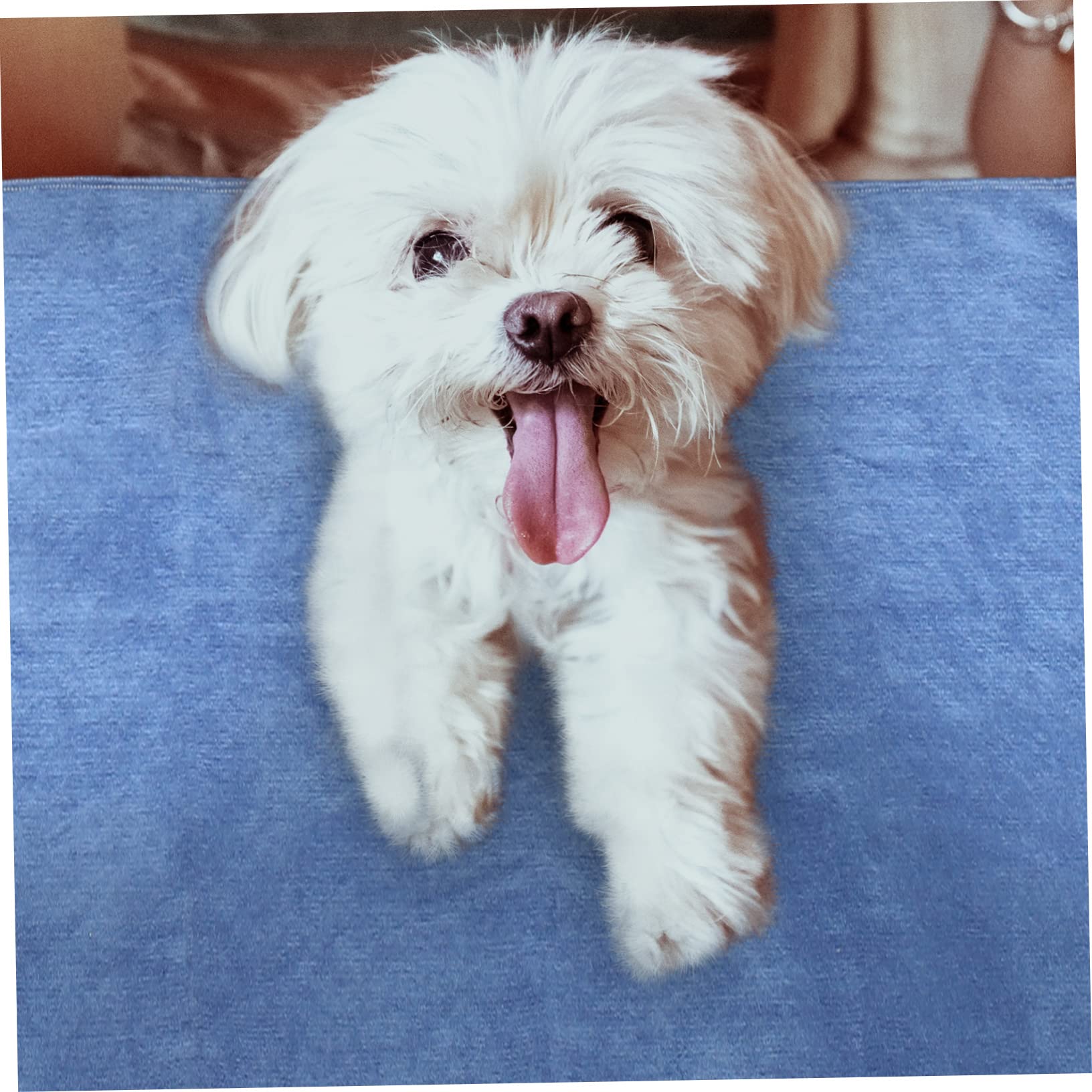 Toddmomy Pet Blanket for Couch Furniture Multi Function Cat Dog Mat Housewarming Present Stylish Blanket Decor for Pet Owners