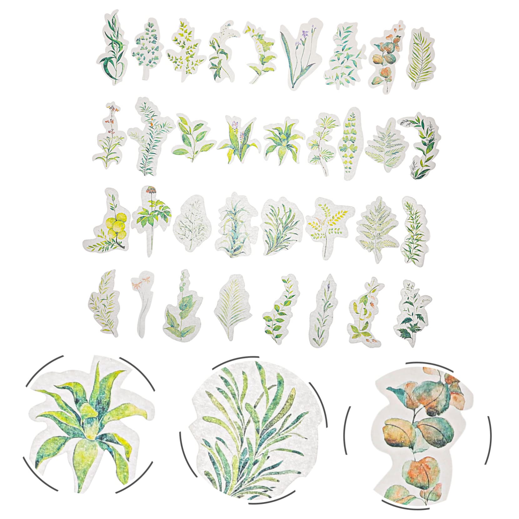 SHINEOFI 3 Set Adesivi Per Piante Adesivi Floreali Album Forniture Arredamento Scrapbooking Per Scrapbooking Adesivo Per Computer Vegetali 102 Pezzi * 3