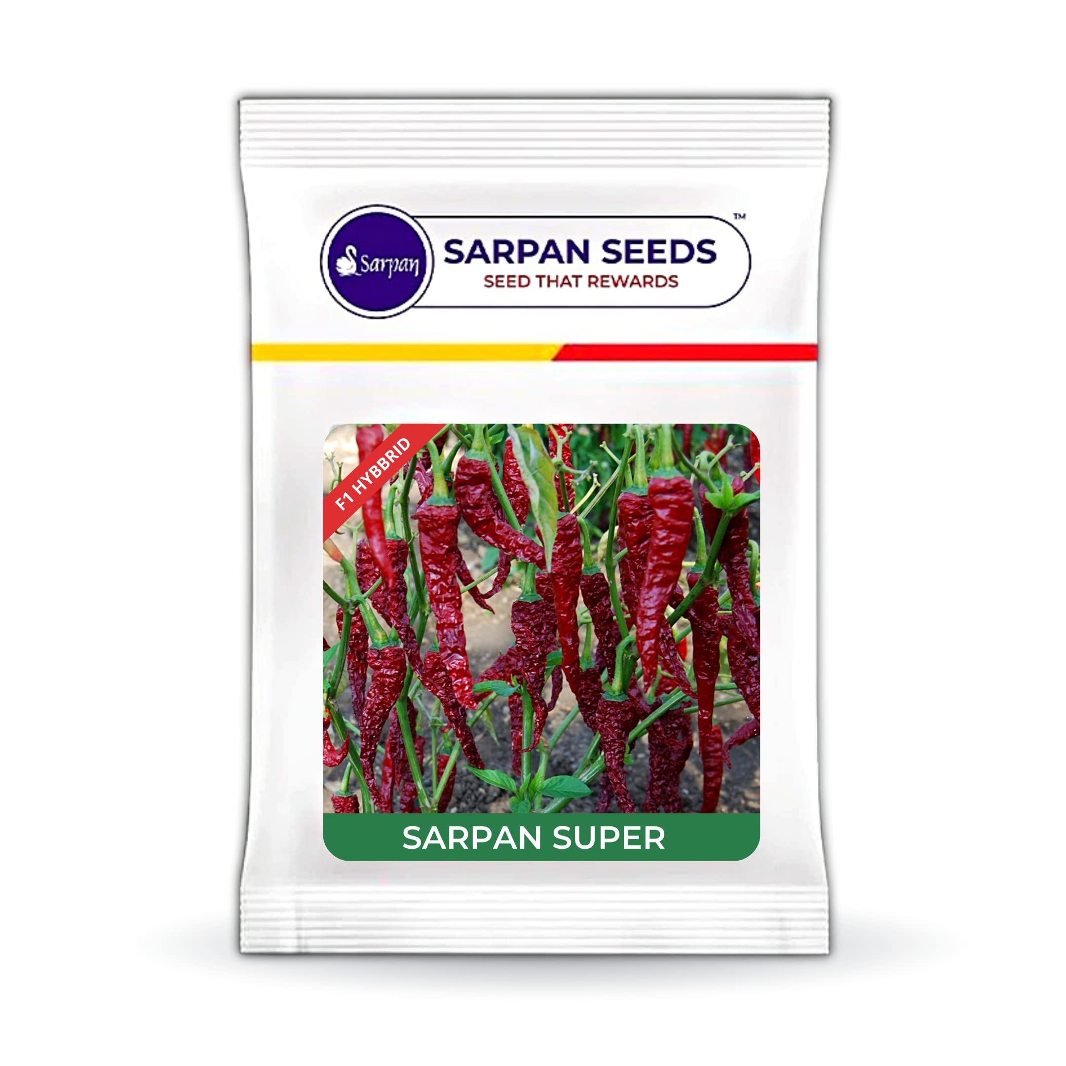SARPAN SEEDS Sarpan Super Chilli seeds | Byadgi chilli seeds | Dabbi byadagi chilli | | Kashmiri chilli | Red chilli seeds | mirchi seeds | vegetable seeds (10) (B09RVF254P) Amazon Price History, Amazon Price Tracker