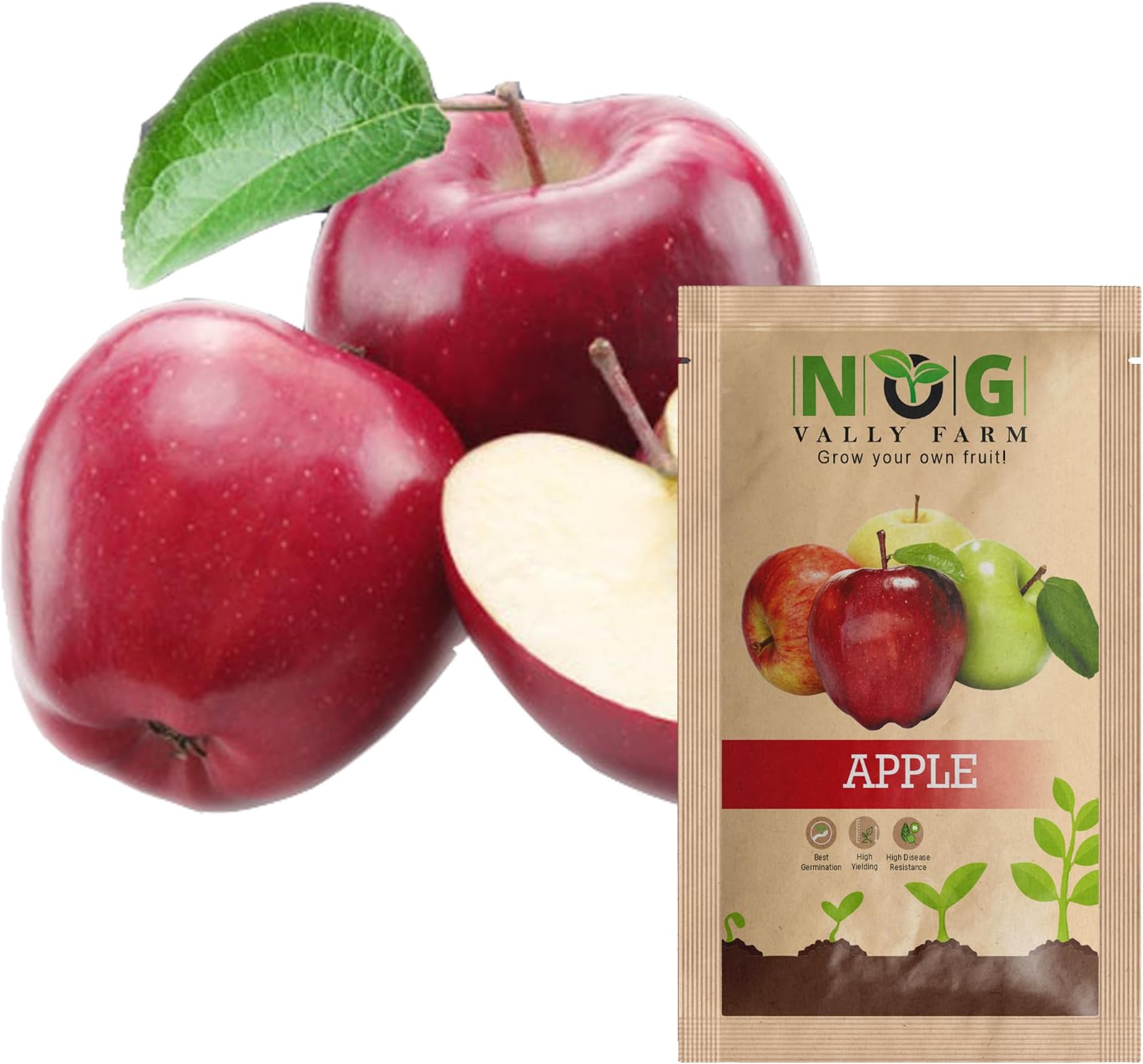 Organic Apple Seeds Pack of-100 for Planting โ Non-GMO Heirloom Seeds, High Germination Rate, Perfect for Home Gardening & Backyard Orchards, Easy to Grow | Gala Apple Seed