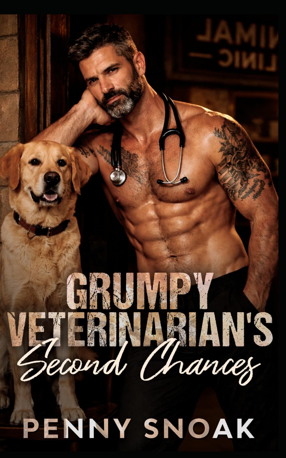 Grumpy Veterinarian's Second Chances: A Small-Town Single Mom Veterinarian Romance: 7 (Small Town Grumpy Sunshine)