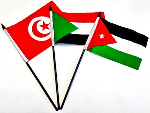 Miniatura 8 de Juego de 22 banderas de poliéster de 4 x 6 pulgadas, una bandera para cada país en la liga árabe, centro de mesa y escritorio en miniatura de 4 x 6