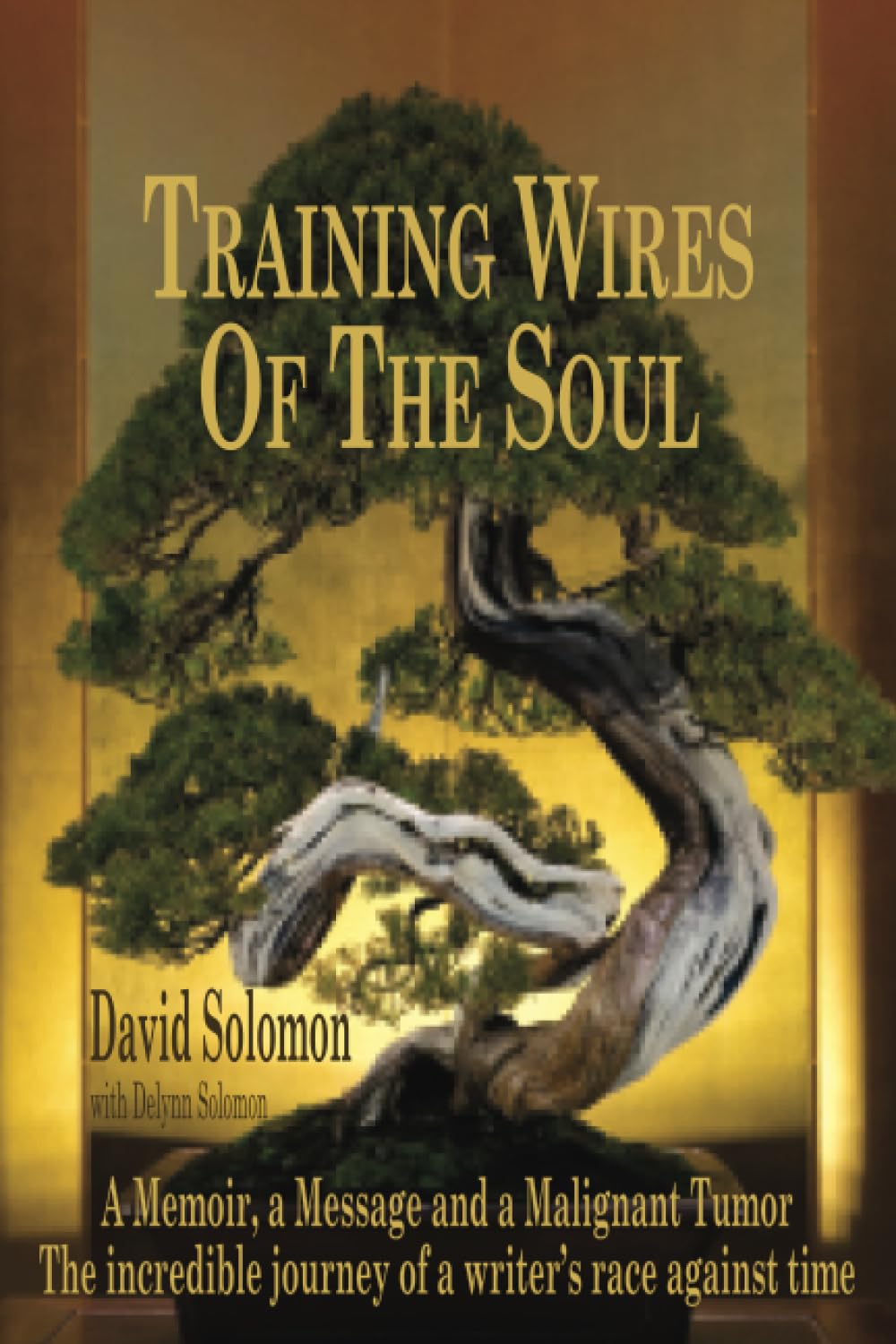 TRAINING WIRES OF THE SOUL The Dead Saints Chronicles: A Memoir, a Message, and a Malignant Tumor