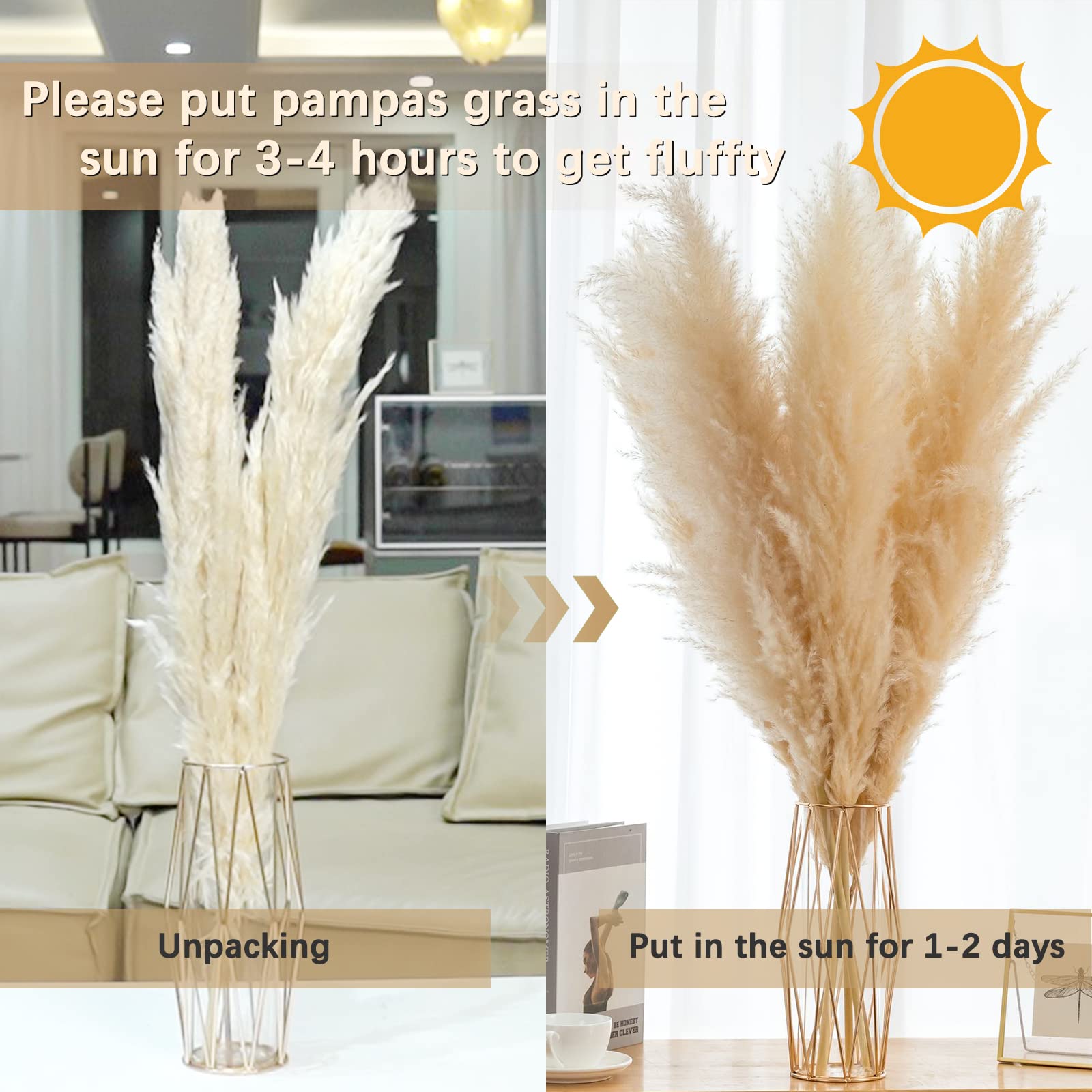Pampas Grass 48"(4ft) Pampas Grass Decor Tall3 Stems Dried Pampas