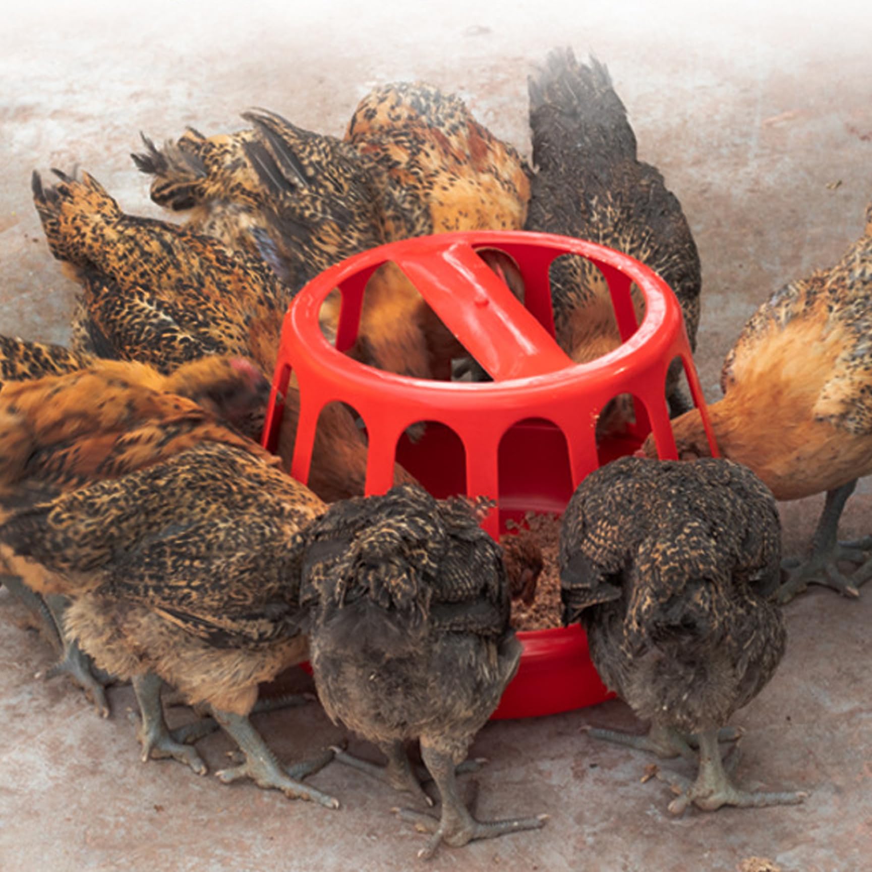 Hühnerfutterspender, 27, 9 x 21, 1 cm, Kunststoff-Hühnerfutterspender mit 13 Futteröffnungen, Abnehmbarer Taubenfutterspender für Hahn, Wildvögel, Tauben, Geflügel, Wasserbecher