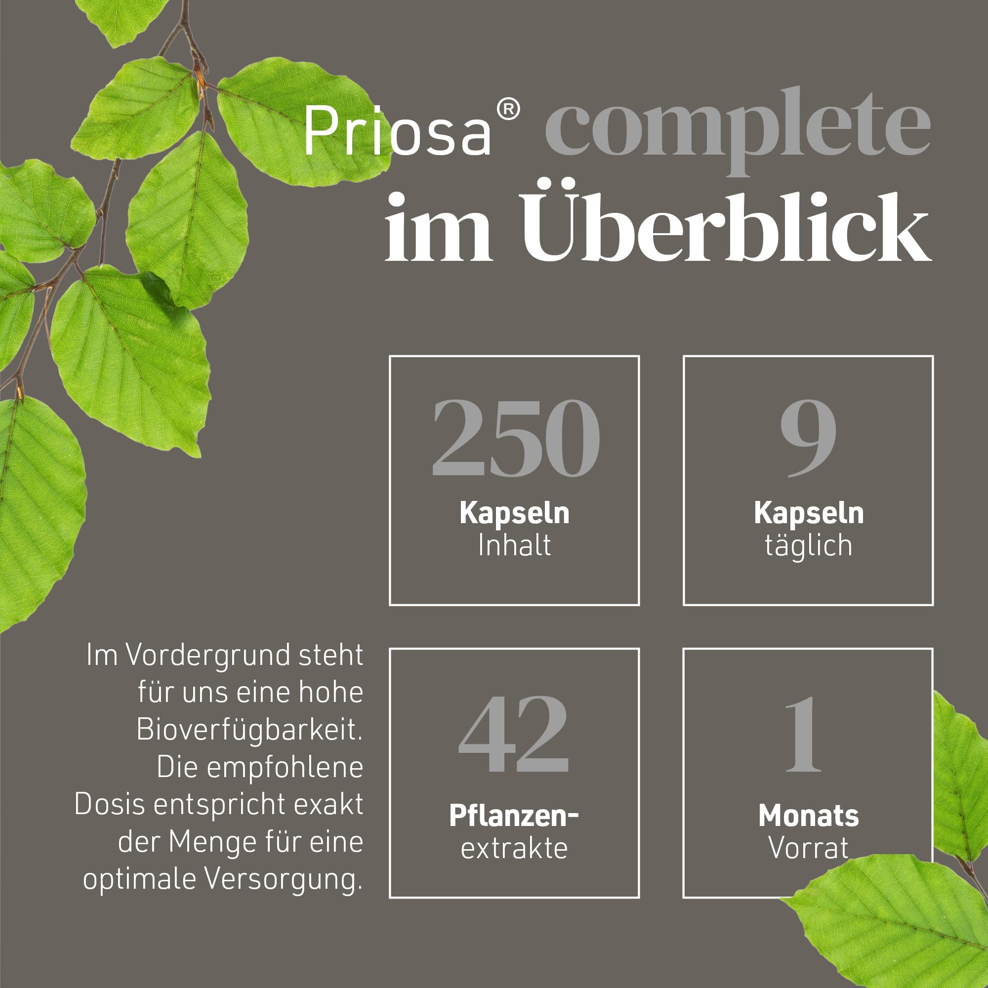 Priosa® complete 250 Multivitamin Kapseln I Unterstützt Energiestoffwechsel, Immunsystem und geistige Leistung I 42 Pflanzenextrakten, 16 Aminosäuren, 13 Mineralien & 13 Vitaminen | vegan