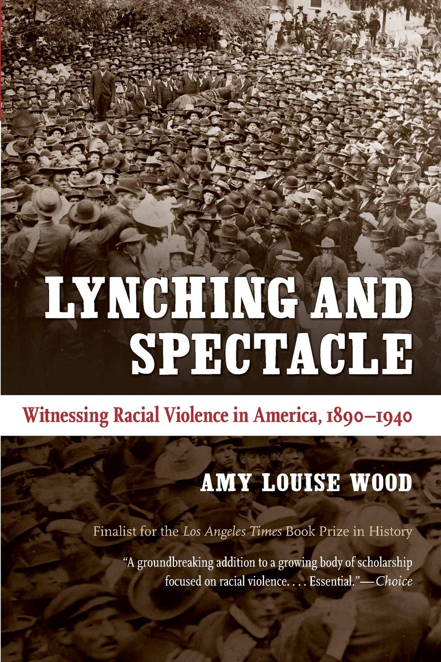 Lynching and Spectacle: Witnessing Racial Violence in America, 1890-1940 (New Directions in Southern Studies)