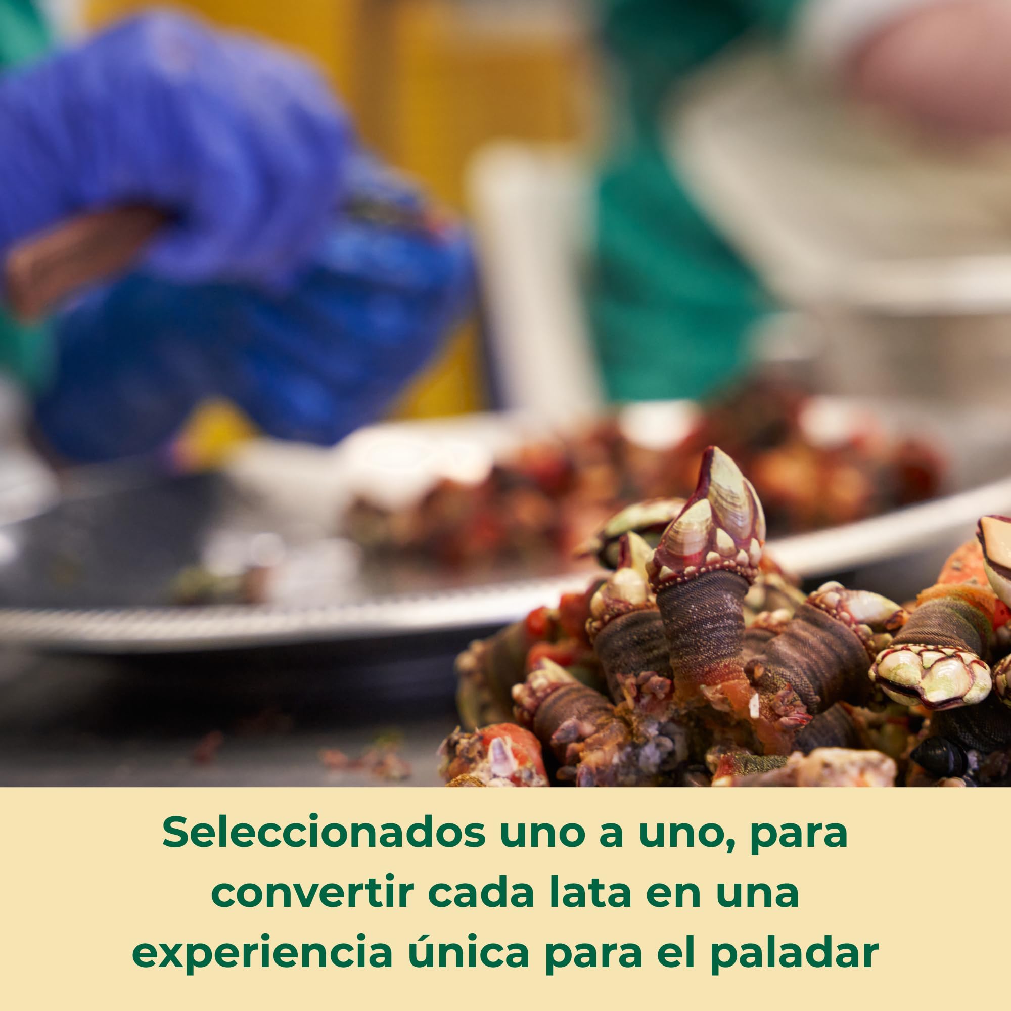 LOS PEPERETES x3 Lata Percebes al Natural 120 g | Marisco Gallego Gourmet | Elaboración Artesanal | Conserva Premium de las Rías Gallegas | Sabor Puro del Atlántico