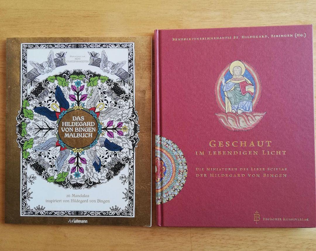 ヒルデガルドのビジョン解説本と、ぬり絵本 Amazon.co.jp: ヒルデガルドのビジョン解説本と、ぬり : おもちゃ