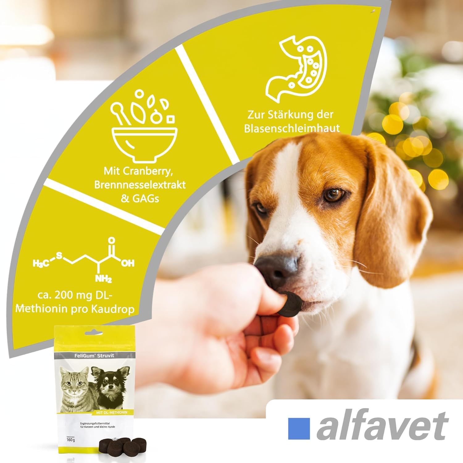 Alfavet FeliGum Struvit 3x160g Hund Katze unterst. Auflösung von Struvitsteinen