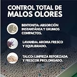 Ver la foto 4