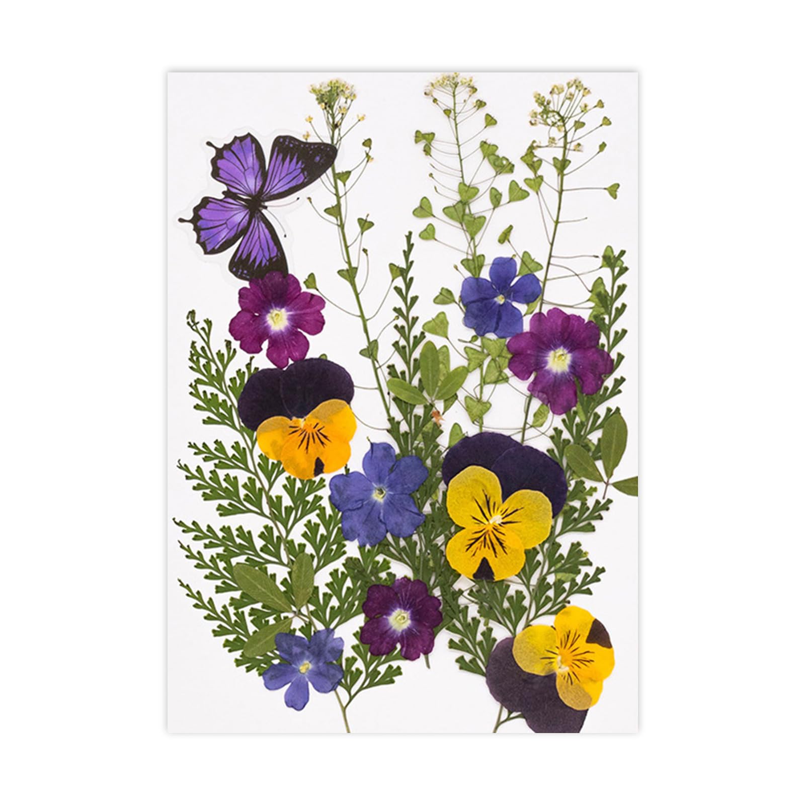 PANGBOER Dried Pressed Flower Art Craft Embellishment Supply for Resin Mold Bookmarks Jewelry Making Scrapbooking Dried Flower Florets