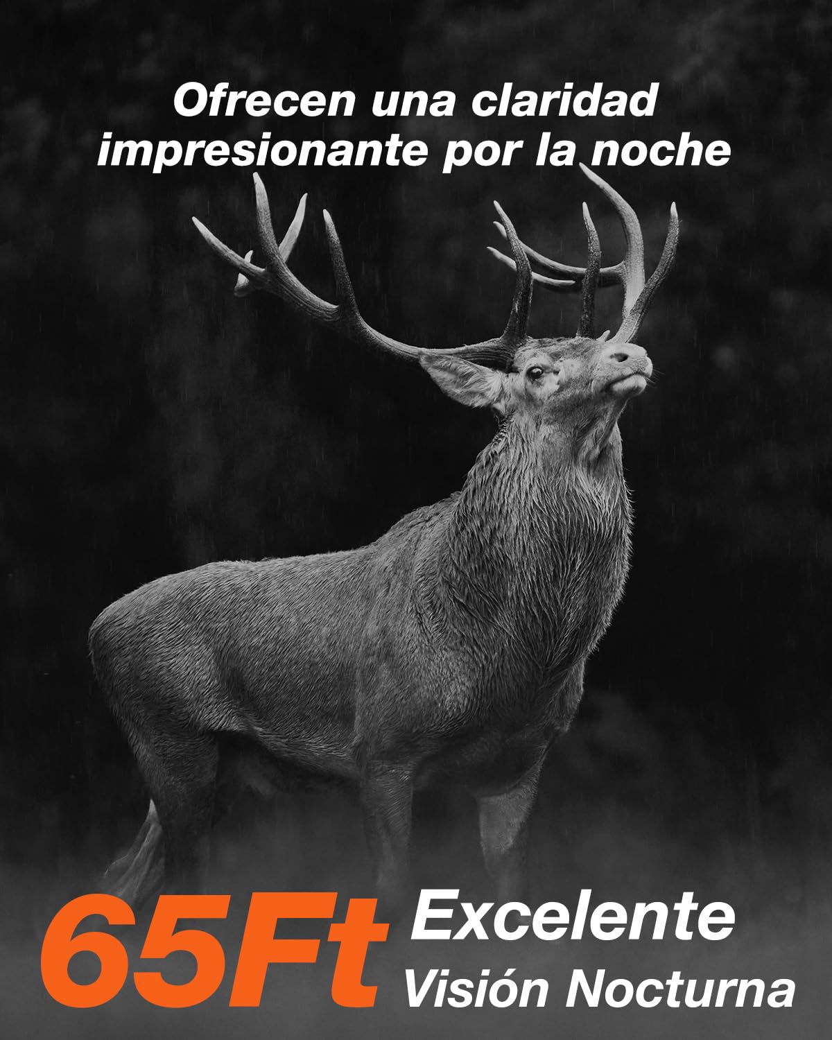 iZEEKER Cámara de Caza Solar, 4K Ultra HD 64MP Camara Fototrampeo con 32GB Micro SD Karte & 5200mAh Batería Recargable, Envio al Movil App y WiFi Bluetooth, Visión Nocturna, IP66 Impermeable