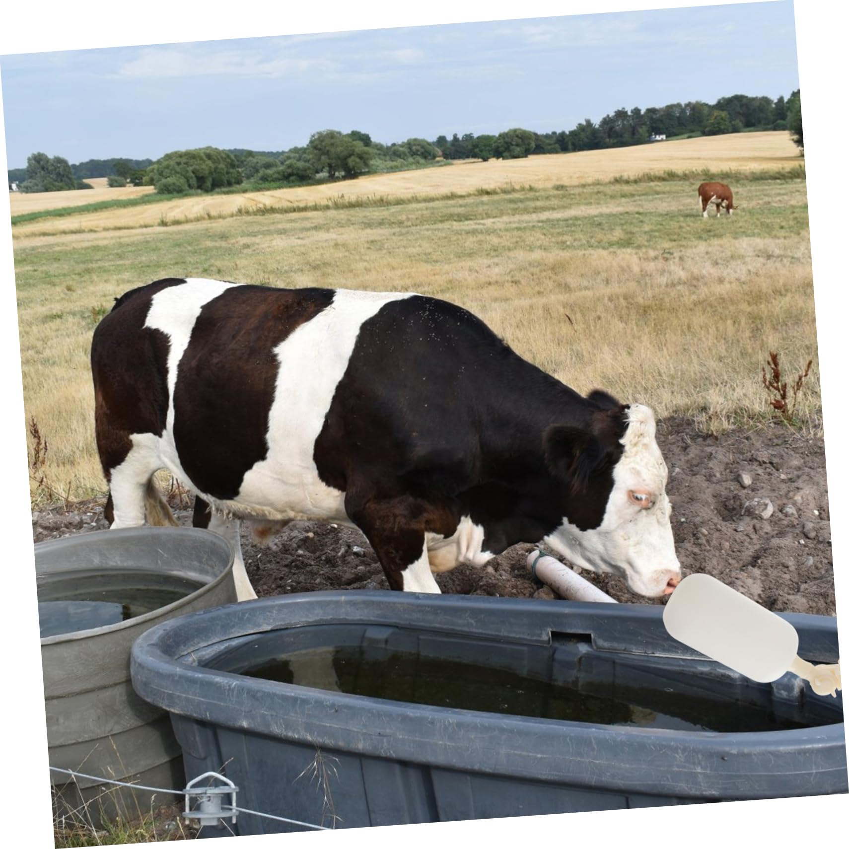 BUTIFULSIC 2pcs Float Valve Farm Supplies Float Ball Valve Stable Float Ball