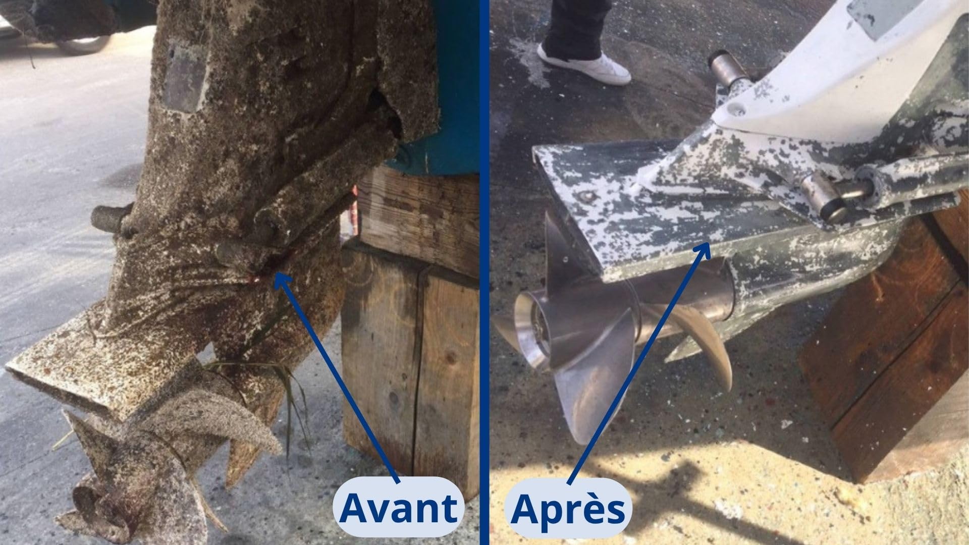 Spécial Carène 5L | Déjaunissant & Dérouillant Haute Performance | Élimine Coquillages, Algues et Traces de Rouille | Idéal Coque, INOX et Pont de Bateau - Fabriqué en France